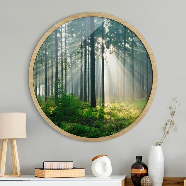 Moderne Bilder mit Rahmen Enlightened Forest