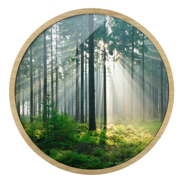 Bilder Enlightened Forest