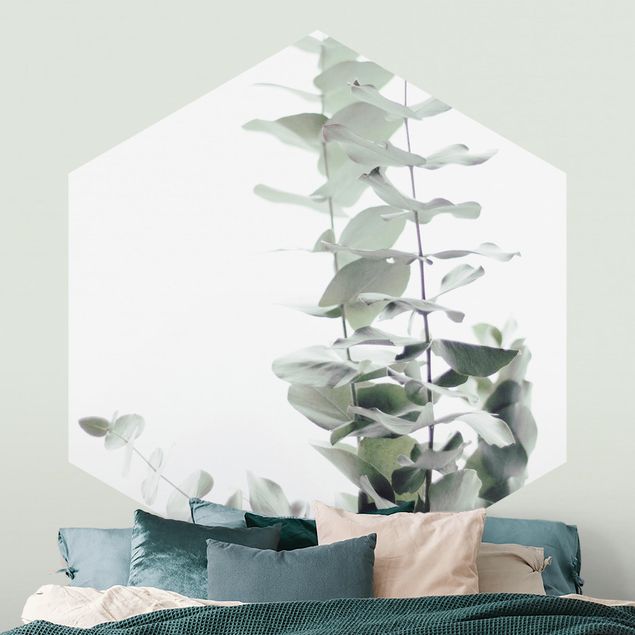 Design Tapeten Eukalyptus im Weißen Licht