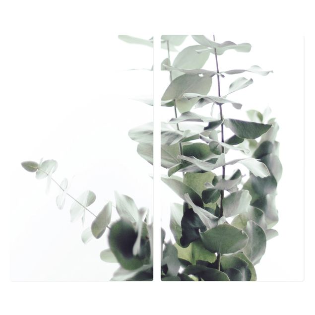 Herdabdeckplatte Glas - Eukalyptus im Weißen Licht