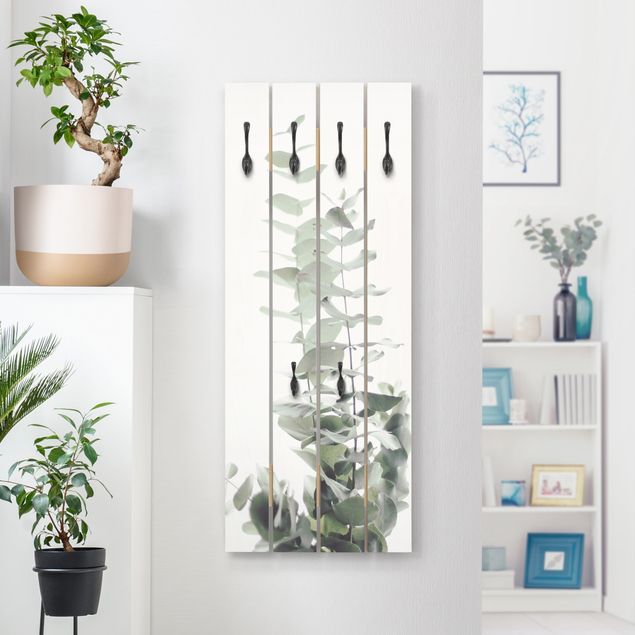 Wandgarderobe Holzpalette - Eukalyptus im Weißen Licht