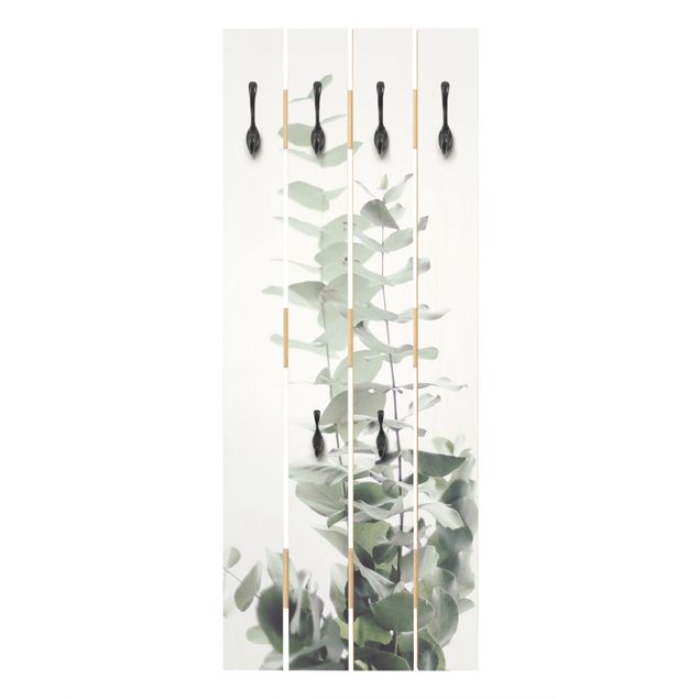 Wandgarderobe Holzpalette - Eukalyptus im Weißen Licht