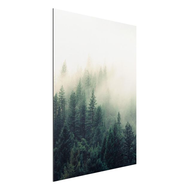 Alu-Dibond - Wald im Nebel Erwachen - Querformat