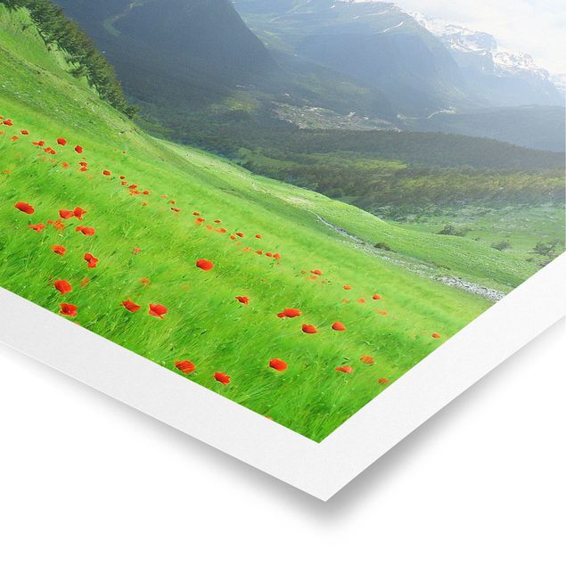 Poster - Alpenwiese - Quadrat 1:1