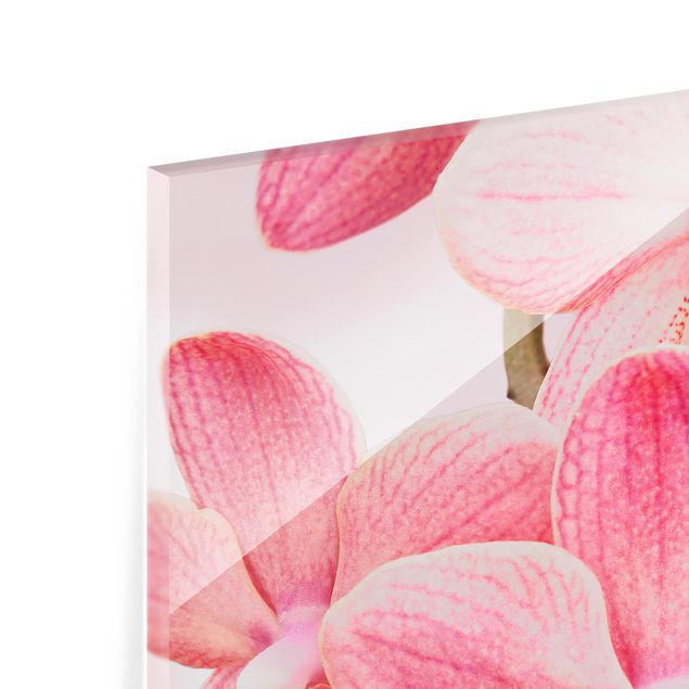 Glas Spritzschutz - Rosa Orchideen auf Wasser - Quadrat - 1:1