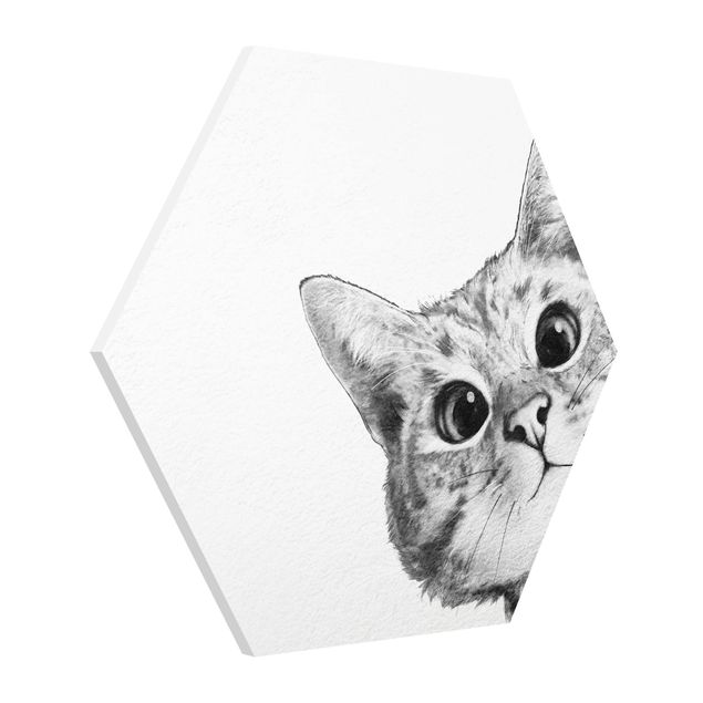 Hexagon Bild Forex - Illustration Katze Zeichnung Schwarz Weiß