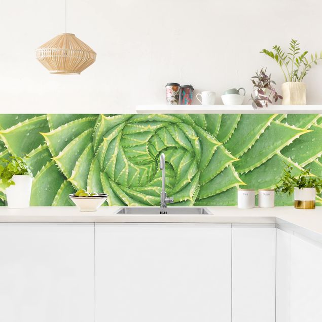 Küchenrückwand - Spiral Aloe