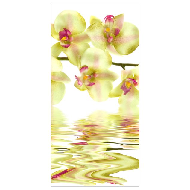 Raumteiler - Dreamy Orchid Waters 250x120cm
