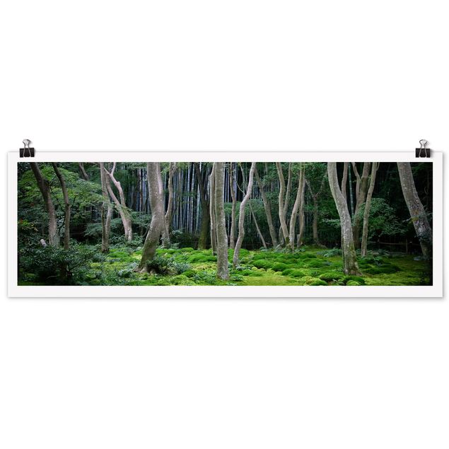 Wandbilder Japanischer Wald