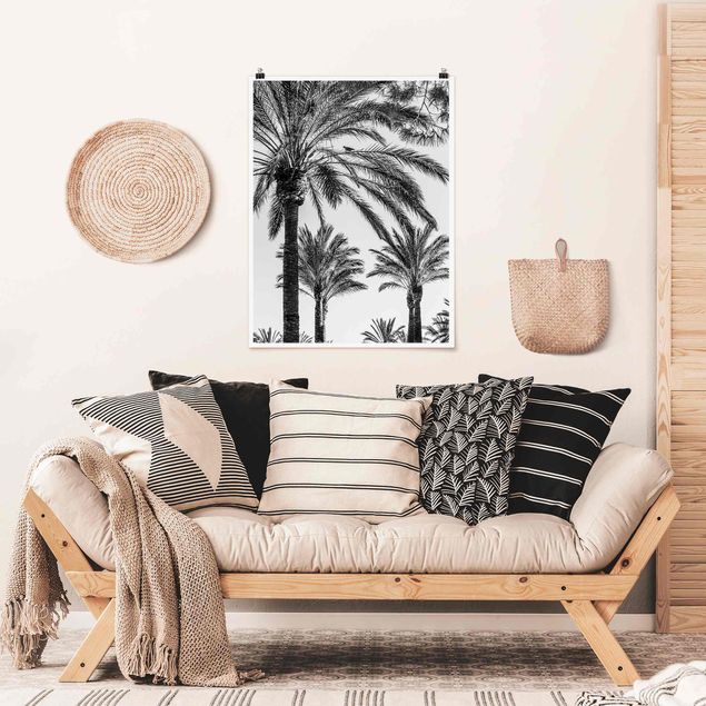 Blumen Poster Palmen im Sonnenuntergang Schwarz-Weiß