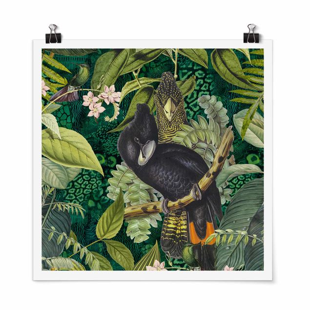 Wandbilder Bunte Collage - Kakadus im Dschungel