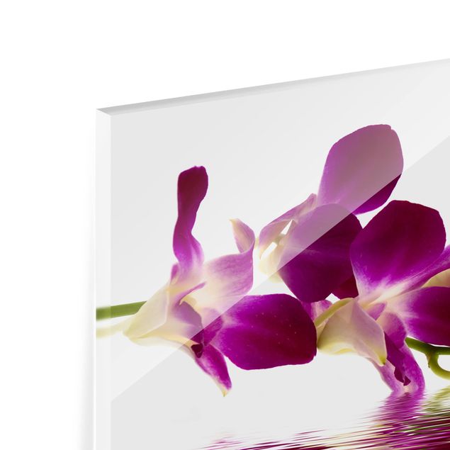 Spritzschutz Glas - Pink Orchid Waters - Querformat - 3:2