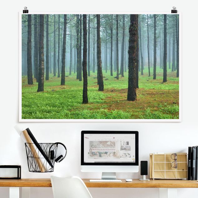 Wand Poster XXL Tiefer Wald mit Kiefern auf La Palma