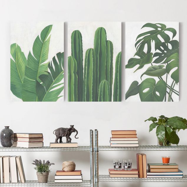 moderne Leinwandbilder Lieblingspflanzen Tropical Set II