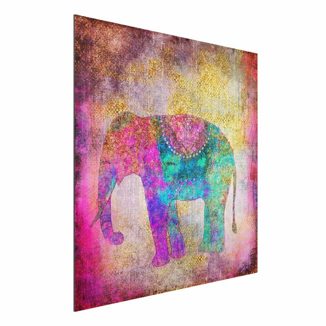 schöne Bilder Bunte Collage - Indischer Elefant