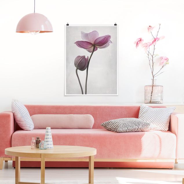 Moderne Poster Anemonen in rosa