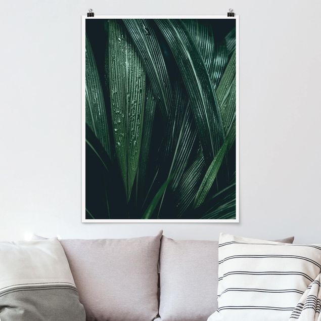 Riesenposter XXL Grüne Palmenblätter