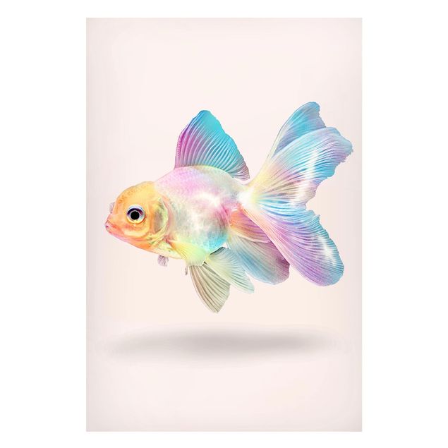Wandbilder Fisch in Pastell