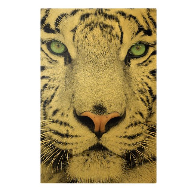 Leinwandbild Gold - Weißer Tiger - Hochformat 2:3