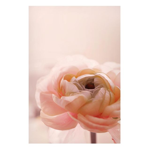 Magnettafel - Rosa Blüte im Fokus - Hochformat 2:3