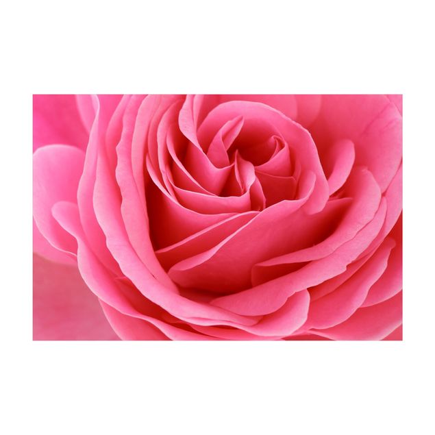 Teppich pink Lustful Pink Rose