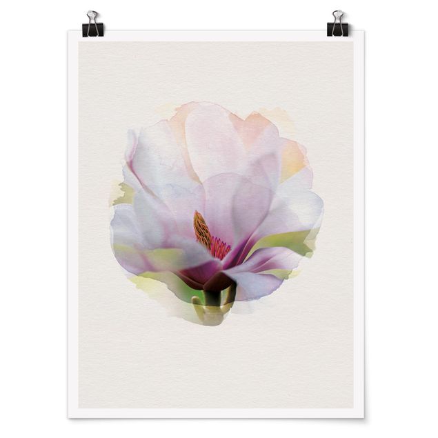 Poster - Wasserfarben - Zarte Magnolienblüte - Hochformat 4:3