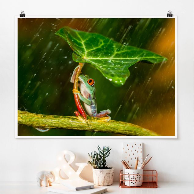XXL Poster Ein Frosch im Regen