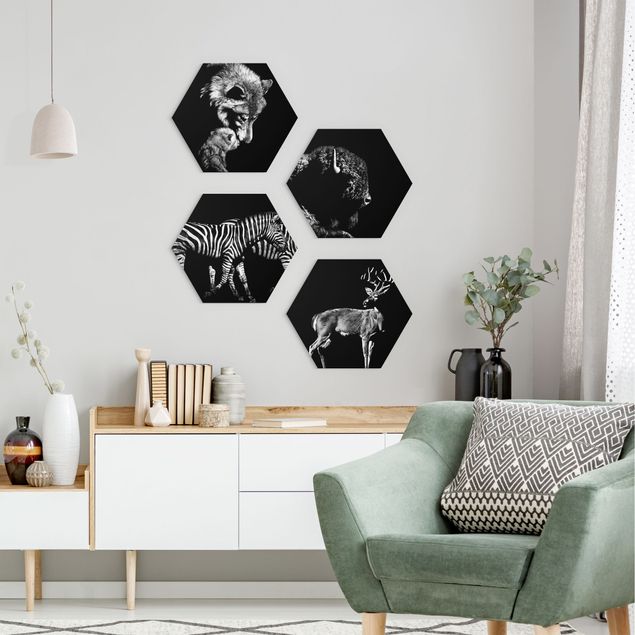 Hexagon Wandbild Wildtiere vor Schwarz Set II