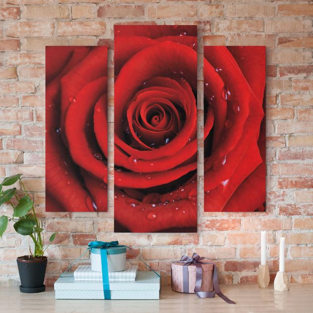 Leinwandbilder Rosen Rote Rose mit Wassertropfen