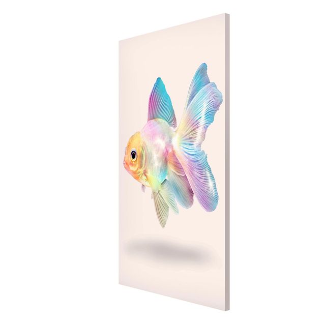Magnettafel Design Fisch in Pastell