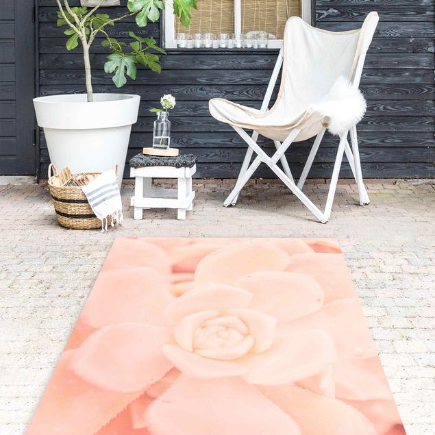 Teppich Outdoor Rosa Blütenzauber Echeveria