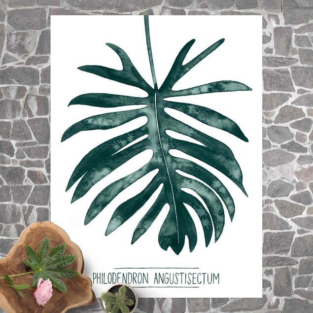 Teppich für Balkon Smaragdgrüner Philodendron Angustisectum