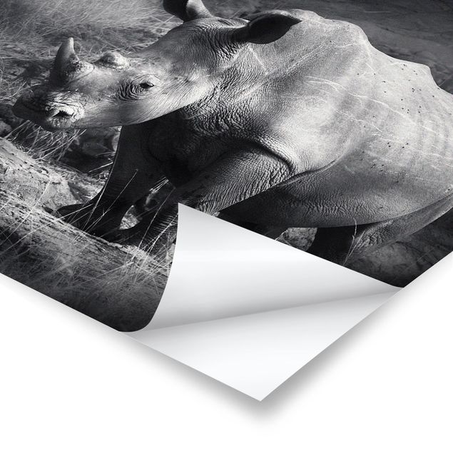 Poster - Lonesome Rhinoceros - Quadrat 1:1
