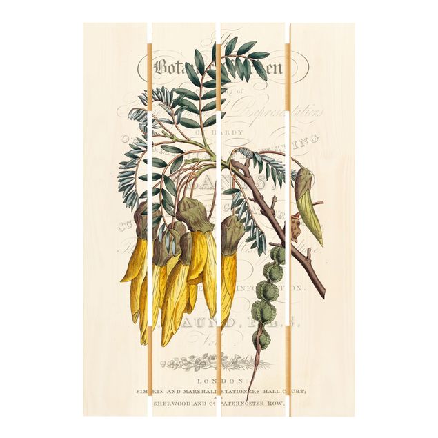 Holzbild - Botanisches Tableau - Schnurbaum - Hochformat 3:2