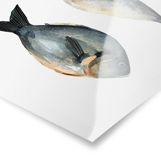 Poster - Vier Fische in Aquarell I - Hochformat 3:2
