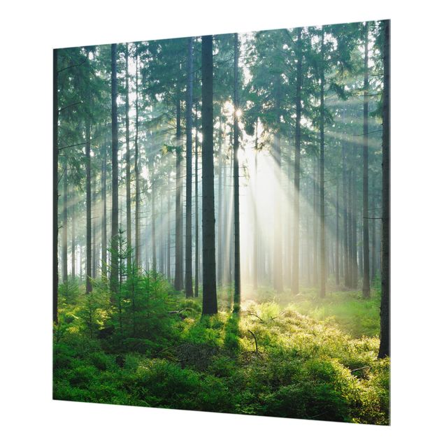 Glas Spritzschutz - Enlightened Forest - Quadrat - 1:1
