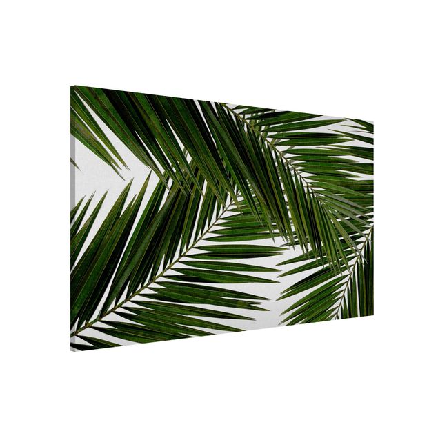 Magnettafel - Blick durch grüne Palmenblätter - Hochformat 3:2