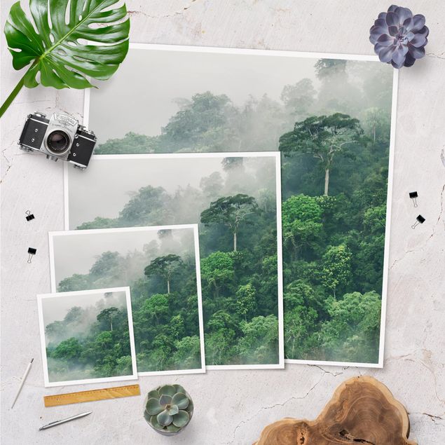Poster - Dschungel im Nebel - Quadrat 1:1