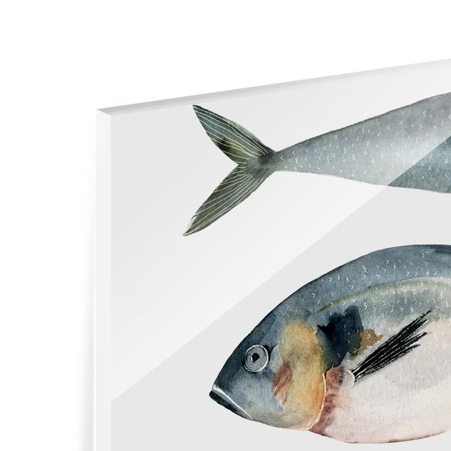 Glas Spritzschutz - Vier Fische in Aquarell II - Quadrat - 1:1