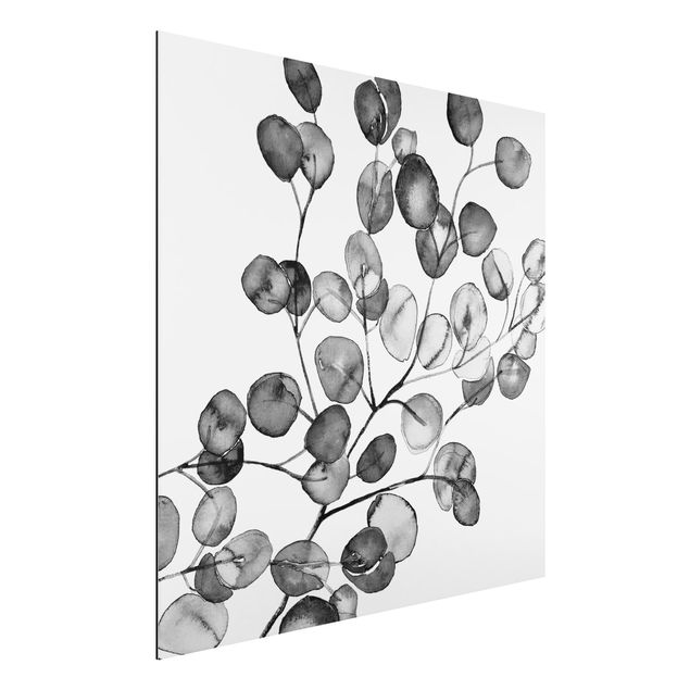 Alu-Dibond - Schwarz Weiß Aquarell Eukalyptuszweig - Quadrat
