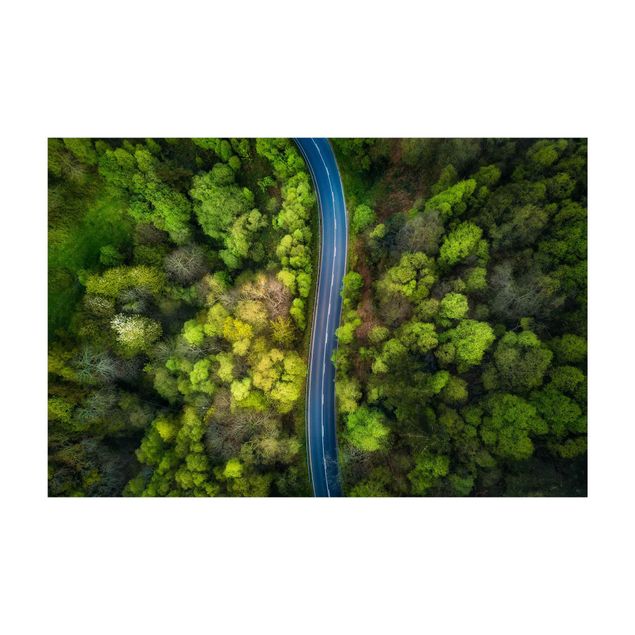 Teppich grün Luftbild - Asphaltstraße im Wald