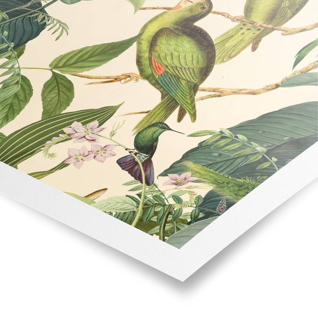 Poster kaufen Vintage Collage - Papageien im Dschungel