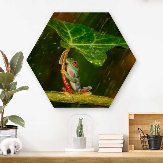 Bilder auf Holz Ein Frosch im Regen