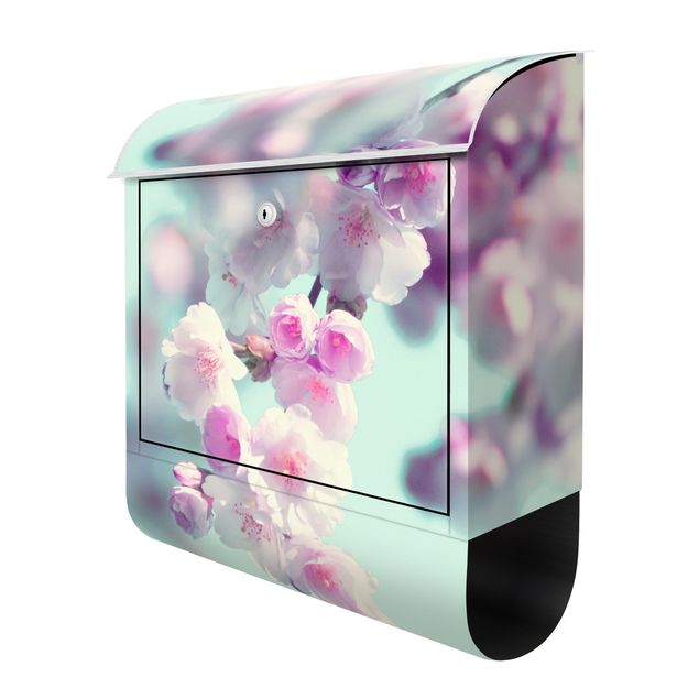 Briefkasten Design Farbenfrohe Kirschblüten