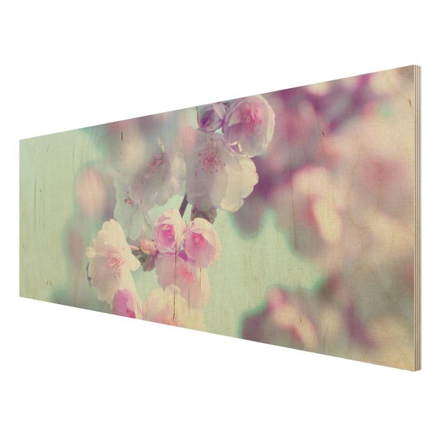 Holzbilder Farbenfrohe Kirschblüten