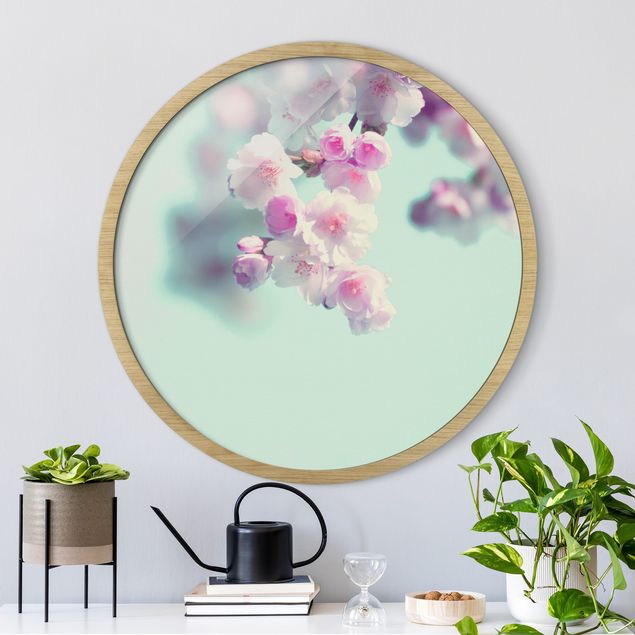 Moderne Bilder mit Rahmen Farbenfrohe Kirschblüten