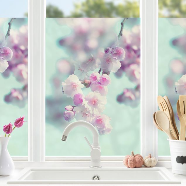 Fensterbilder selbstklebend Blumen Farbenfrohe Kirschblüten