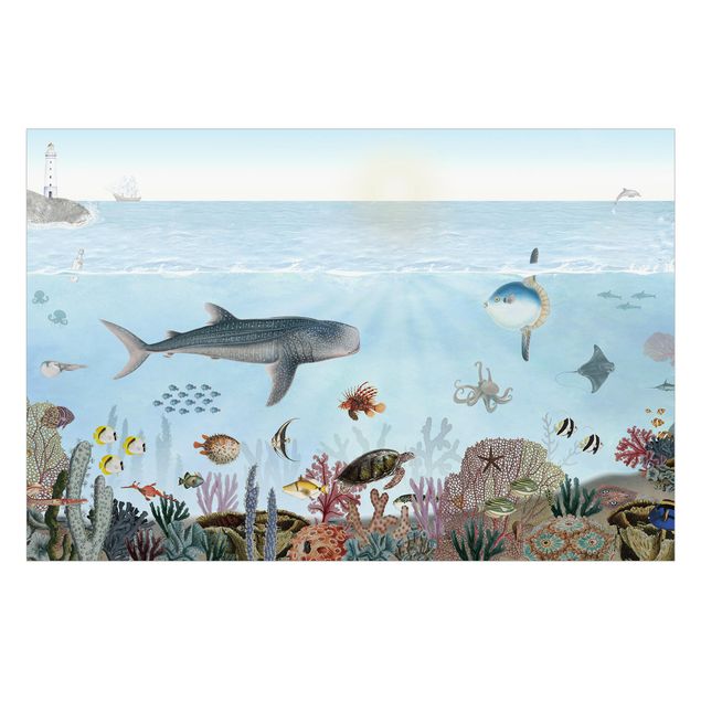 Fensterfolie - Sichtschutz - Faszinierende Kreaturen am Korallenriff - Fensterbilder