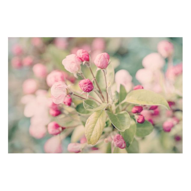 Magnettafel - Apfelblüte Bokeh rosa - Memoboard Querformat 2:3