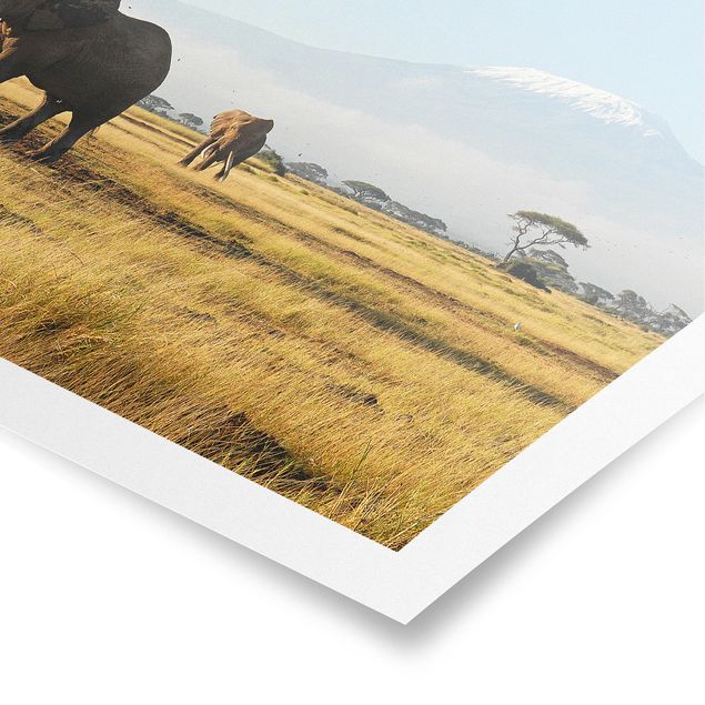 Poster - Elefanten vor dem Kilimanjaro in Kenia - Querformat 3:4